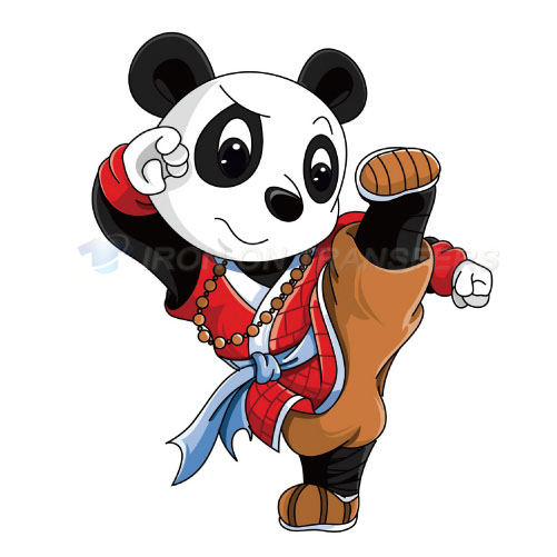 Kung Fu Panda Iron-on Stickers (Heat Transfers)NO.3347